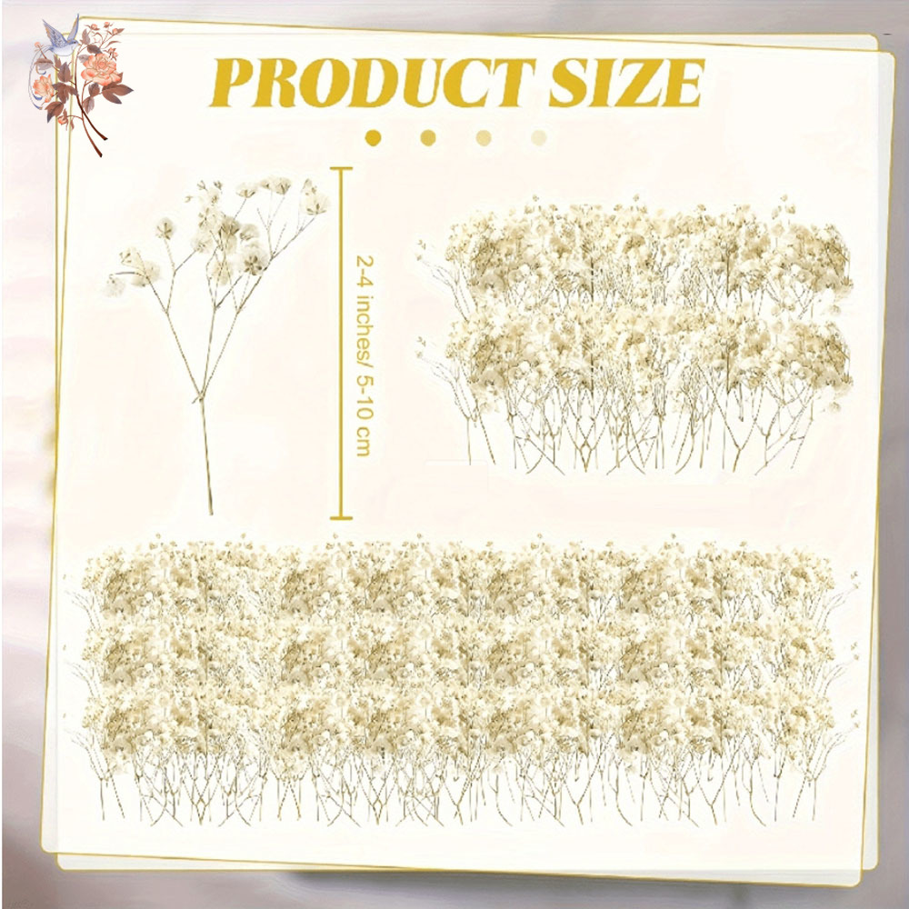Mini fiore di gypsophila essic - Candle Making Los Angeles recensione e prezzo