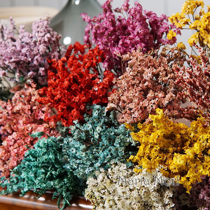 5g/Colorato Dired Preservato E - Candle Making Los Angeles recensione e prezzo