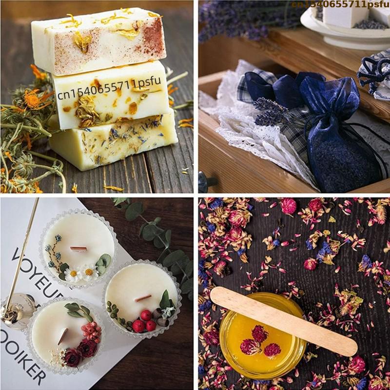 4 Tipi di Boccioli di Rosa Nat - Candle Making Los Angeles recensione e prezzo